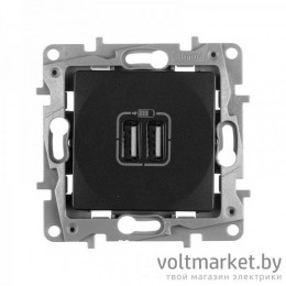 Etika - Зарядное устройство с двумя USB Type A, 240V/5V, 2400мА. (антрацит)
