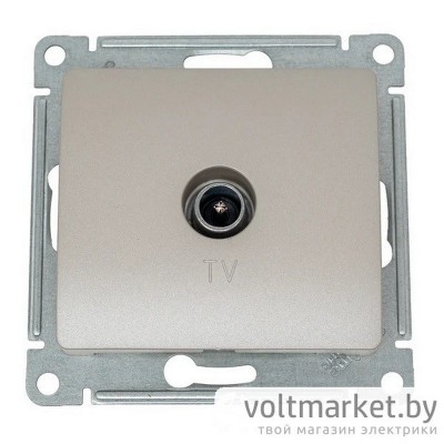 Розетка TV оконечная 1DB Glossa платина