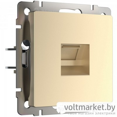 Розетка компьютерная RJ-45 Werkel шампань