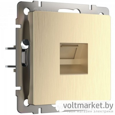 Розетка компьютерная RJ-45 Werkel шампань рифленый