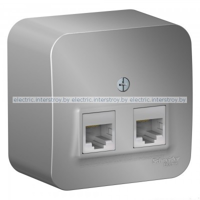 Розетка 2-я компьютерная RJ45 BLANCA алюминий