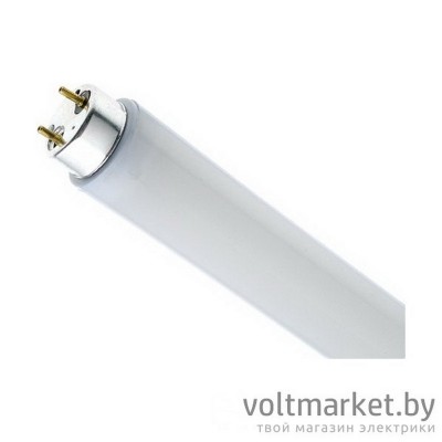 Лампа люминесцентная TDM ЛЛ-36Вт/765, Т8/G13, 6500К Лампа люминесцентная TDM ЛЛ-36Вт/765, Т8/G13, 6500К