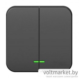 Выключатель двухклавишный с/п 10А 250В BLANCA антрацит