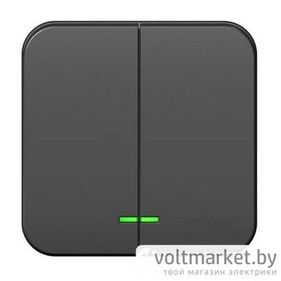 Выключатель двухклавишный с/п 10А 250В BLANCA антрацит