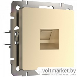 Розетка телефонная RJ-11 Werkel шампань