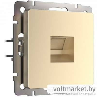 Розетка телефонная RJ-11 Werkel шампань
