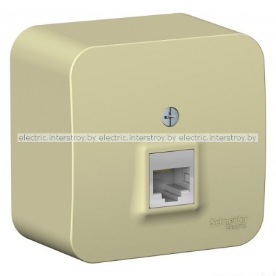 Розетка компьютерная RJ45 BLANCA бежевый